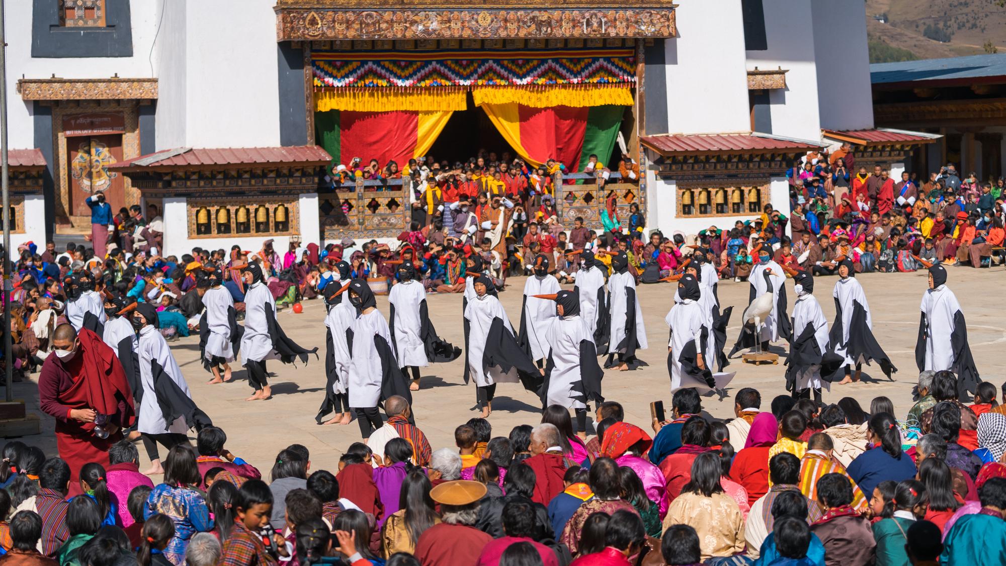 Black Necked Crane Festival